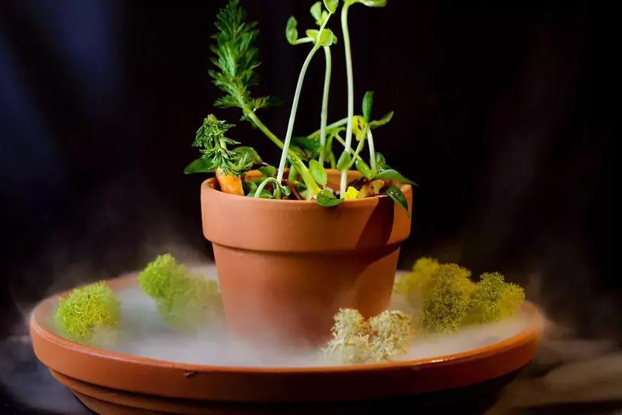 Un plat créatif qui ressemble à une plante en pot au restaurant Campton Place à San Francisco.