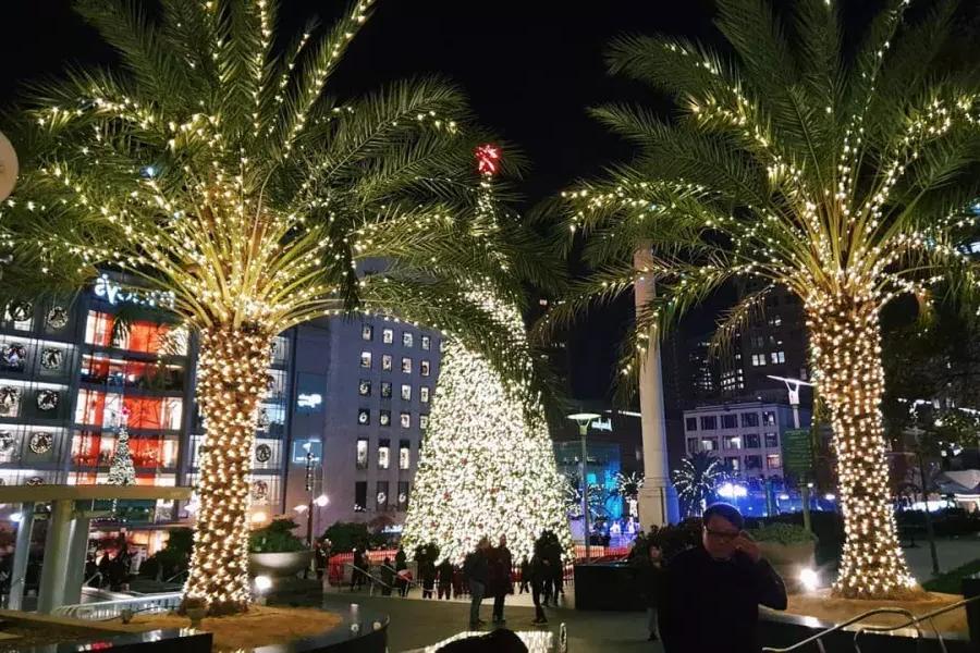 Union-Square-Weihnachtsbäume